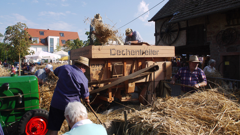 20120909_54_Dreschen