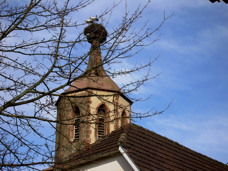 2006_Stoerche_Storchenturm